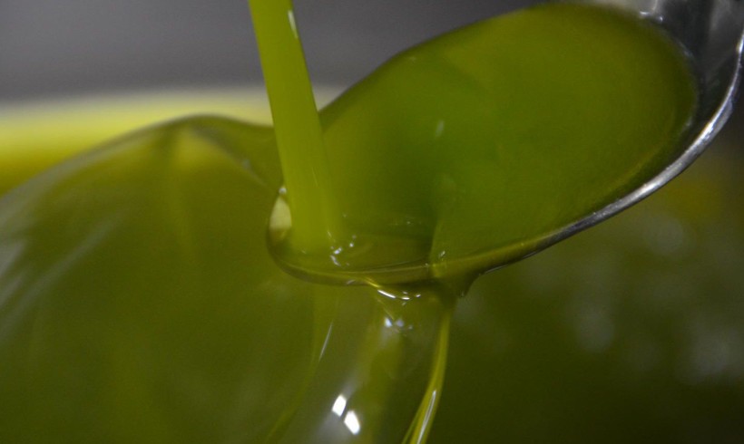 The new extravirgin olive oil (2024): characteristics