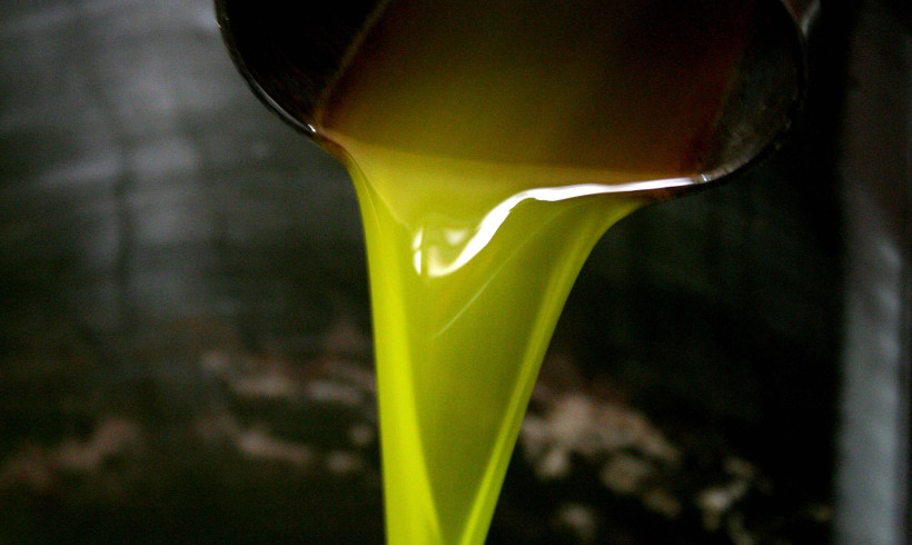 The new extravirgin olive oil is ready!!